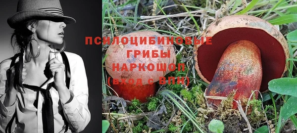 PSILOCYBIN Алзамай
