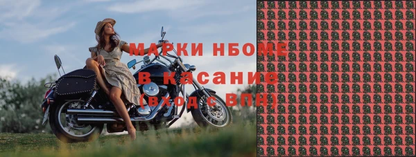 PSILOCYBIN Алзамай