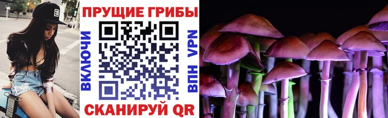 Псилоцибиновые грибы MAGIC MUSHROOMS  цена   Солнечногорск 