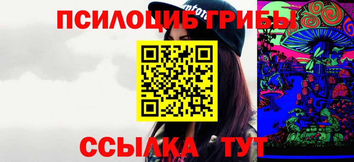где продают наркотики  Вход с VPN  Солнечногорск  Галлюциногенные грибы Psilocybe 